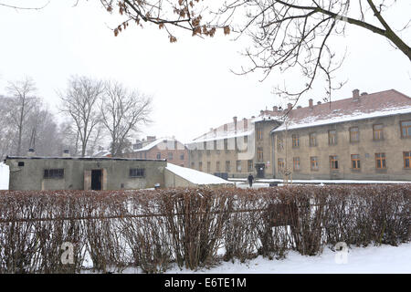 Auschwitz-Birkenau Konzentrations- und Vernichtungslager Camp im Winter Stockfoto