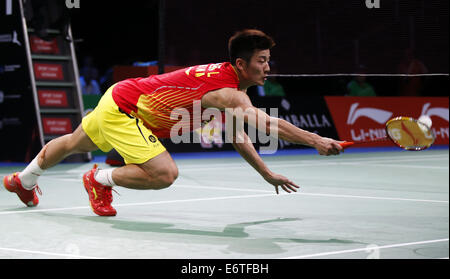 Kopenhagen, Dänemark. 30. August 2014. Chen Long China tritt während der Männer Singles Halbfinale gegen Tommy Sugiarto von Indonesien am Tag 6 von Li Ning BWF Weltmeisterschaften 2014 in Ballerup Super Arena in Kopenhagen, Dänemark, am 30. August 2014. Chen Long gewann 2: 0. Bildnachweis: Wang Lili/Xinhua/Alamy Live-Nachrichten Stockfoto