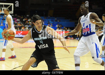 Sevilla, Spanien. 30. August 2014. Luis Scola (L) von Argentinien steuert den Ball vor Ramon Clemente von Puerto Rico während das erste Tag-Gruppe B-Spiel der Basketball WM Spanien 2014, im kommunalen Pavillon des Sports, in Sevilla, Spanien, am 30. August 2014. Bildnachweis: Juan Jose Ubeda/Xinhua/Alamy Live-Nachrichten Stockfoto