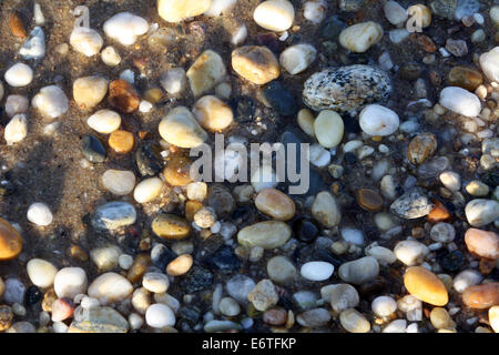 Bunten Steinen am Ufer des Gardiners Bucht Atlantik Long Island New York Stockfoto