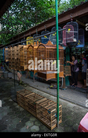 Yogyakarta, Java, Indonesien.  Vögel im Käfig zu verkaufen in den Vogelmarkt. Stockfoto