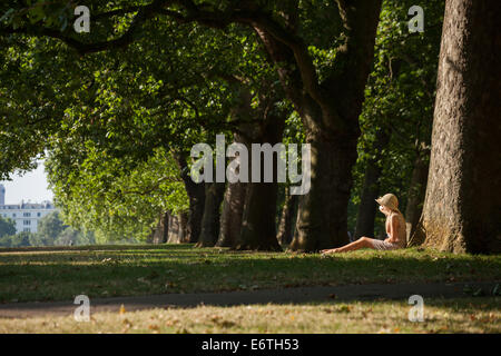 Eine junge Frau Relaxen im Hyde Park neben einer Reihe von London Platanen Stockfoto