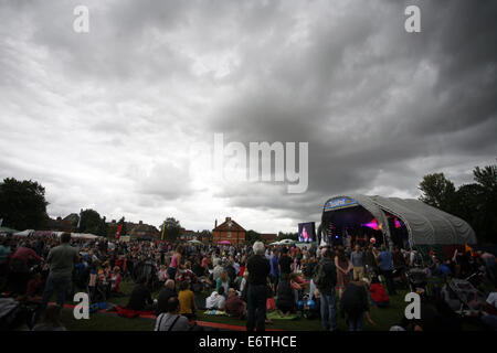 Wallingford, Oxford, UK. 30. August 2014. ein Blick auf die Menge und die Main stage auf Bunkfest eine kostenlose dich Tag-Musik-Festival. Bildnachweis: Stuart Emmerson/Alamy Live-Nachrichten Stockfoto