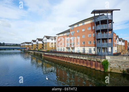 Moderne Wohnungen oder in Apartments neben dem Fluss Nene entnommen Stadtbrücke Peterborough Cambridgeshire UK Stockfoto