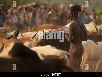 Bashada Stamm Mann Jumper bei einem Stier springen Zeremonie, Dimeka, Omo-Tal, Äthiopien Stockfoto