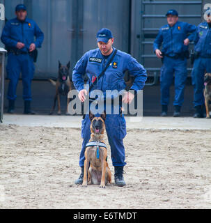 SANKT GALLEN, Schweiz - 22. Oktober: Polizei zeigt Hundetraining auf der Agrarmesse "Olma" am 22. Oktober 2011 in Stockfoto