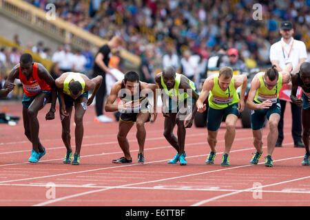 Emsley Carr Mile race 2014 Diamond League Sainsbury Birmingham Grand Prix, Alexander Stadium, UK Stockfoto