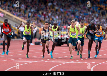 Emsley Carr Mile race 2014 Diamond League Sainsbury Birmingham Grand Prix, Alexander Stadium, UK Stockfoto