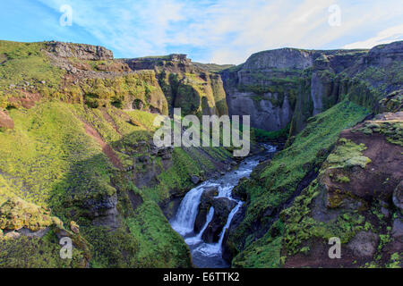 Skogar Fluss Stockfoto