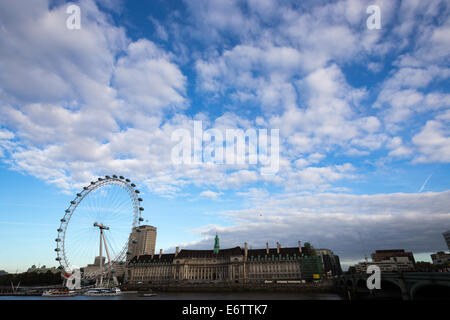 London Eye am Südufer der Themse mit Exemplar oben. Stockfoto