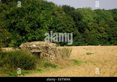 AJAXNETPHOTO; HÉBUTERNE, FRANKREICH-BUNKER-RESTE EINES ERSTEN WELTKRIEG BRITISCHE MASCHINENGEWEHR UND BEOBACHTUNG POST IN DER NÄHE DES DORFES. FOTO: JONATHAN EASTLAND/AJAX REF: D132309 3533 Stockfoto