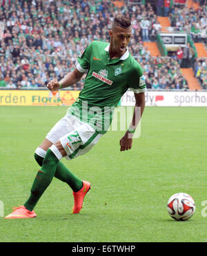 Bremen, Deutschland. 30. August 2014. Bremens Davie Selke in Aktion während der deutschen Fußball-Bundesliga-Fußball-match zwischen Werder Bremen und 1899 Hoffenheim im Weserstadion in Bremen, Deutschland, 30. August 2014. Foto: Carmen Jaspersen/Dpa/Alamy Live News Stockfoto