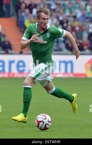 Bremen, Deutschland. 30. August 2014. Bremens Izet Hajrovic in Aktion während der deutschen Fußball-Bundesliga-Fußball-match zwischen Werder Bremen und 1899 Hoffenheim im Weserstadion in Bremen, Deutschland, 30. August 2014. Foto: Carmen Jaspersen/Dpa/Alamy Live News Stockfoto