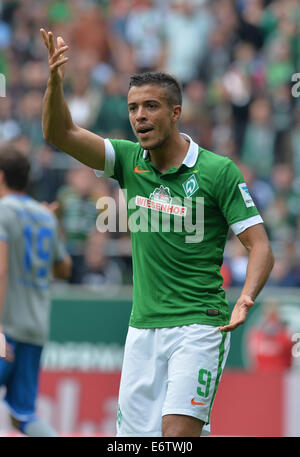 Bremen, Deutschland. 30. August 2014. Bremens Franco di Santo reagiert während der deutschen Bundesliga-Fußballspiel zwischen Werder Bremen und 1899 Hoffenheim im Weserstadion in Bremen, Deutschland, 30. August 2014. Foto: Carmen Jaspersen/Dpa/Alamy Live News Stockfoto