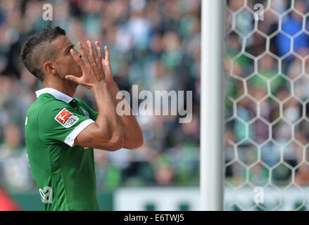 Bremen, Deutschland. 30. August 2014. Bremens Franco di Santo reagiert während der deutschen Bundesliga-Fußballspiel zwischen Werder Bremen und 1899 Hoffenheim im Weserstadion in Bremen, Deutschland, 30. August 2014. Foto: Carmen Jaspersen/Dpa/Alamy Live News Stockfoto