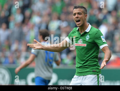 Bremen, Deutschland. 30. August 2014. Bremens Franco di Santo reagiert während der deutschen Bundesliga-Fußballspiel zwischen Werder Bremen und 1899 Hoffenheim im Weserstadion in Bremen, Deutschland, 30. August 2014. Foto: Carmen Jaspersen/Dpa/Alamy Live News Stockfoto