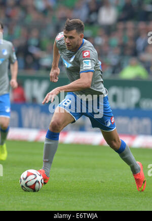 Bremen, Deutschland. 30. August 2014. Hoffenheim Adam Szalai in Aktion während der deutschen Fußball-Bundesliga-Fußball match zwischen Werder Bremen und 1899 Hoffenheim im Weserstadion in Bremen, Deutschland, 30. August 2014. Foto: Carmen Jaspersen/Dpa/Alamy Live News Stockfoto