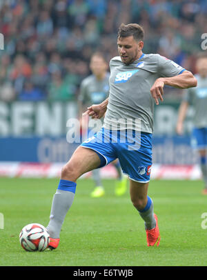 Bremen, Deutschland. 30. August 2014. Hoffenheim Adam Szalai reagiert während der deutschen Bundesliga-Fußballspiel zwischen Werder Bremen und 1899 Hoffenheim im Weserstadion in Bremen, Deutschland, 30. August 2014. Foto: Carmen Jaspersen/Dpa/Alamy Live News Stockfoto