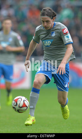 Bremen, Deutschland. 30. August 2014. Hoffenheim Sebastian Rudy in Aktion während der deutschen Fußball-Bundesliga-Fußball-match zwischen Werder Bremen und 1899 Hoffenheim im Weserstadion in Bremen, Deutschland, 30. August 2014. Foto: Carmen Jaspersen/Dpa/Alamy Live News Stockfoto