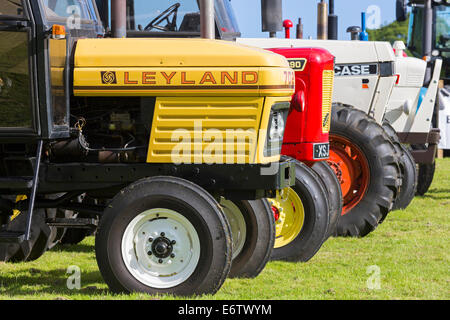 East Kilbride, Schottland. 31. August 2014. Die jährliche Country Fair veranstaltet von der National ländliche Museum of Scotland in East Kilbride nahe Glasgow, Schottland über 5000 Besucher nahmen die Shows, Displays und Exponate, unterstützt durch die warmen sonnigen Sommerwetter genossen. Attraktionen inklusive Schäferhund Studien, herding Ente Displays und Frettchen Rennsport sowie statische zeigt Oldtimer Traktoren und Landmaschinen. Bildnachweis: Findlay/Alamy Live-Nachrichten Stockfoto