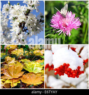 Collage der vier Jahreszeiten - Frühling, Sommer, Herbst und winter Stockfoto