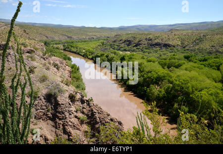 Gila Anliegerstaaten Conservation Area, Gila River, nationale Landschaft Erhaltung Boxensystem, Safford, Arizona, USA. Stockfoto