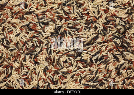 Gemischter Reis Hintergrund. Close-up. Stockfoto