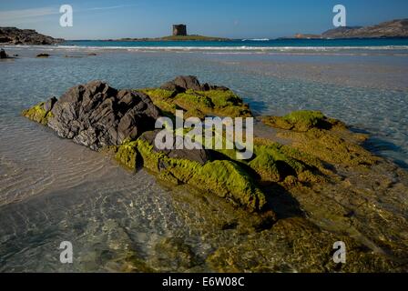 Küste von Sardinien mit türkisfarbenem Wasser und Felsen mit Algen Stockfoto