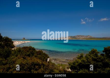 Strand und kristallklares blaues Meer Spiaggia Strand auf Sardinien in Italien Stockfoto