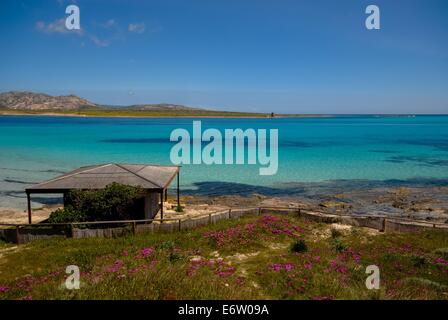 Strand und kristallklares blaues Meer Spiaggia Strand auf Sardinien in Italien Stockfoto