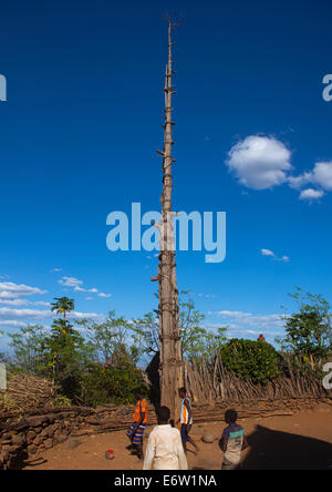 Generation-Pole auf dem Zeremoniell Platz, errichtet während der Initiation Zeremonien Konso Dorf, Südäthiopien Stockfoto
