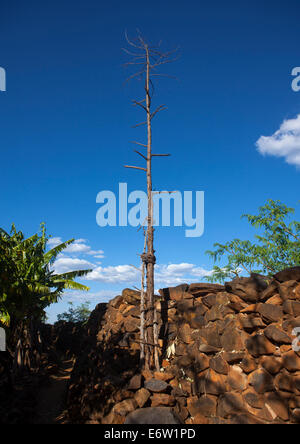 Generation-Pole auf dem Zeremoniell Platz, errichtet während der Initiation Zeremonien Konso Dorf, Südäthiopien Stockfoto