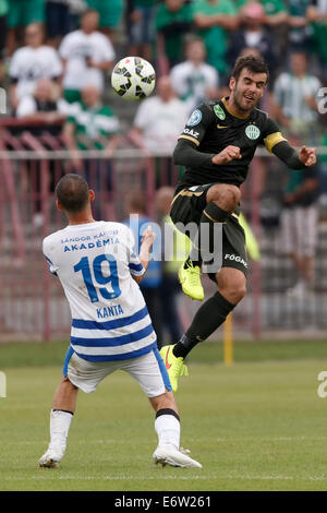 Budapest, Ungarn. 31. August 2014. Jozsef Kanta MTK (l) und Gabor Gyomber der FTC bei MTK vs. Ferencvaros OTP Bank Liga Fußball match bei Bozsik Stadion am 31. August 2014 in Budapest, Ungarn. Bildnachweis: Laszlo Szirtesi/Alamy Live-Nachrichten Stockfoto