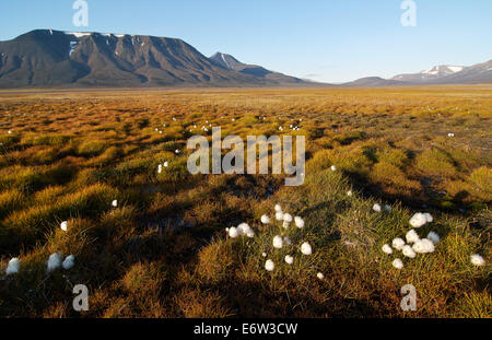 Operafjellet im Adventdalen, Svalbard Stockfoto