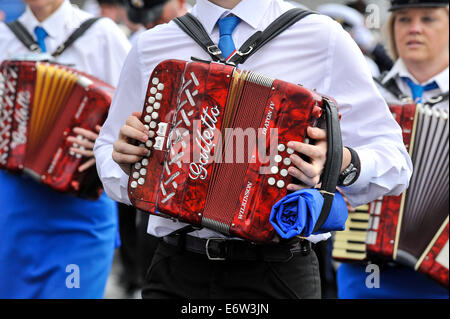 Man spielt das Akkordeon am Royal Black Institution Parade, Derry, Londonderry, Nordirland, Vereinigtes Königreich, Europa Stockfoto