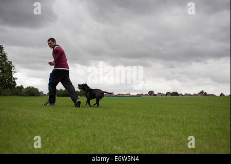 Junger Mann läuft mit seinem Hund auf der Wiese in einem großen Park in London. Stockfoto