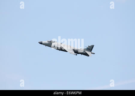 CLEVELAND, OHIO - 30 August: Ein Zivilist Besitz British Sea Harrier auf 30. August 2014 in The Cleveland National Airshow Stockfoto