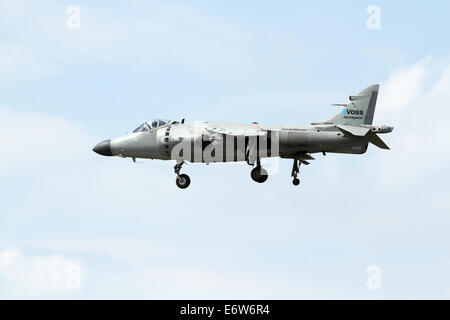 CLEVELAND, OHIO - 30 August: Ein Zivilist Besitz British Sea Harrier auf 30. August 2014 in The Cleveland National Airshow Stockfoto