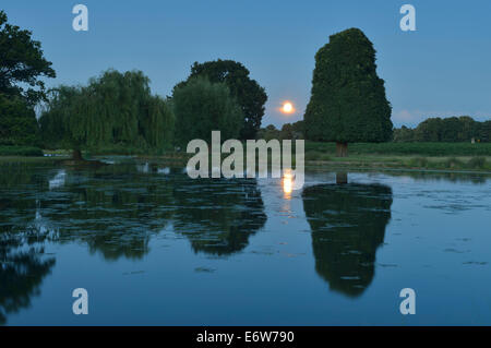 Full Moon rising über Boating Lake, Bushy Park, London, UK Stockfoto
