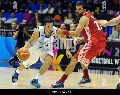 Sevilla, Spanien. 31. August 2014. Facundo Campazzo (L) von Argentinien treibt den Ball vor Krunoslav Simon Kroatiens während ihres Spiels Gruppe B von der FIBA Basketball WM 2014, in Sevilla, Spanien, am 31. August 2014. Argentinien verloren 85-90. Bildnachweis: Xinhua/Alamy Live-Nachrichten Stockfoto