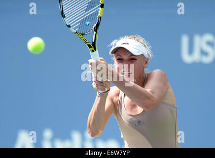 New York, NY, USA. 31. August 2014. Caroline Wozniacki aus Dänemark gibt einen Schuss während der Frauen Singles viertes Vorrundenspiel gegen Maria Sharapova Russlands bei den 2014 US Open in New York, Vereinigte Staaten, 31. August 2014 zurück. Bildnachweis: Xinhua/Alamy Live-Nachrichten Stockfoto