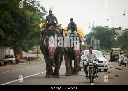 Jaipur, Indien. 31. August 2014. Menschen Reiten Elefanten in einer Straße von Jaipur, Rajasthan Indien, 31. August 2014. Elefanten gelten als heilige Tiere in Indien, denn sie weithin als Transport-Werkzeuge seit der Antike verwendet wurden. Ganesh Chaturthi Festival feiert man in Indien als der Geburtstag der elefantenköpfige hinduistische Gott Ganesha, die weit von den Hindus als Gott der Weisheit, Wohlstand und Glück verehrt wird. Elefanten in Indien dienen heute hauptsächlich für touristische Attraktion. Bildnachweis: Xinhua/Alamy Live-Nachrichten Stockfoto