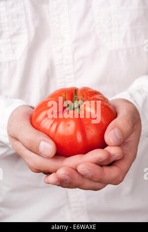 Hände halten Tomate Stockfoto