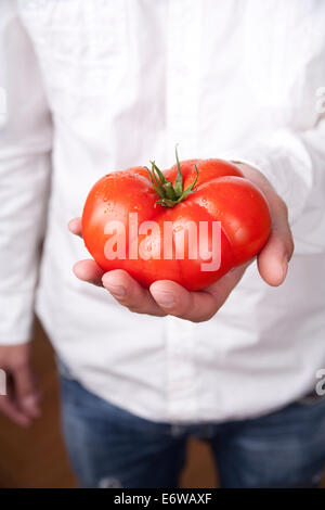 Hände halten Tomate Stockfoto