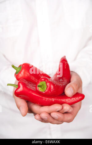 Hände halten Paprika Stockfoto