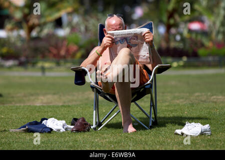 Mann liest eine Zeitung im Park. Stockfoto