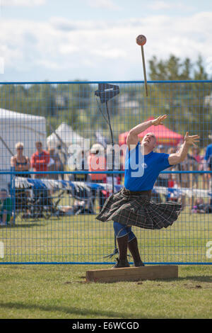 Calgary, Alberta, Kanada. 30 Aug, 2014. Konkurrent wirft einen Hammer Highland Games während der Calgary, Calgary, Alberta, Kanada am Samstag, August 30, 2014. Die Spiele in Calgary sind eine langjährige Tradition, in diesem Jahr in ihre zweite Jahrhundert. Credit: Rosanne Tackaberry/Alamy leben Nachrichten Stockfoto