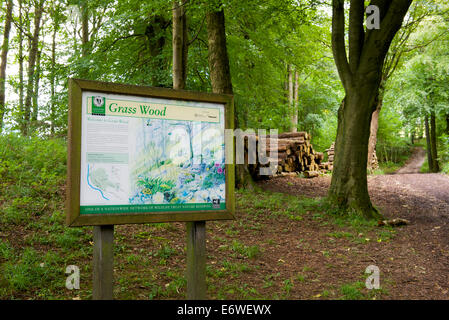 Info-Tafel in Grass Wald nahe Grassington, Wharfedale, Yorkshire Dales National Park, North Yorkshire, England UK Stockfoto