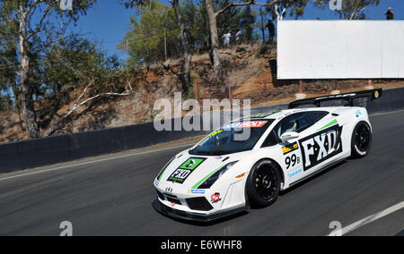 Eric Bana Rennen im 2014 Liqui Moly Bathurst 12 Stunde Featuring: Eric Bana Where: Sydney, Australien bei: 9. Februar 2014 Stockfoto