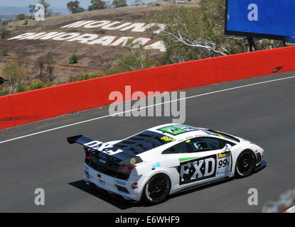 Eric Bana Rennen im 2014 Liqui Moly Bathurst 12 Stunde Featuring: Eric Bana Where: Sydney, Australien bei: 9. Februar 2014 Stockfoto